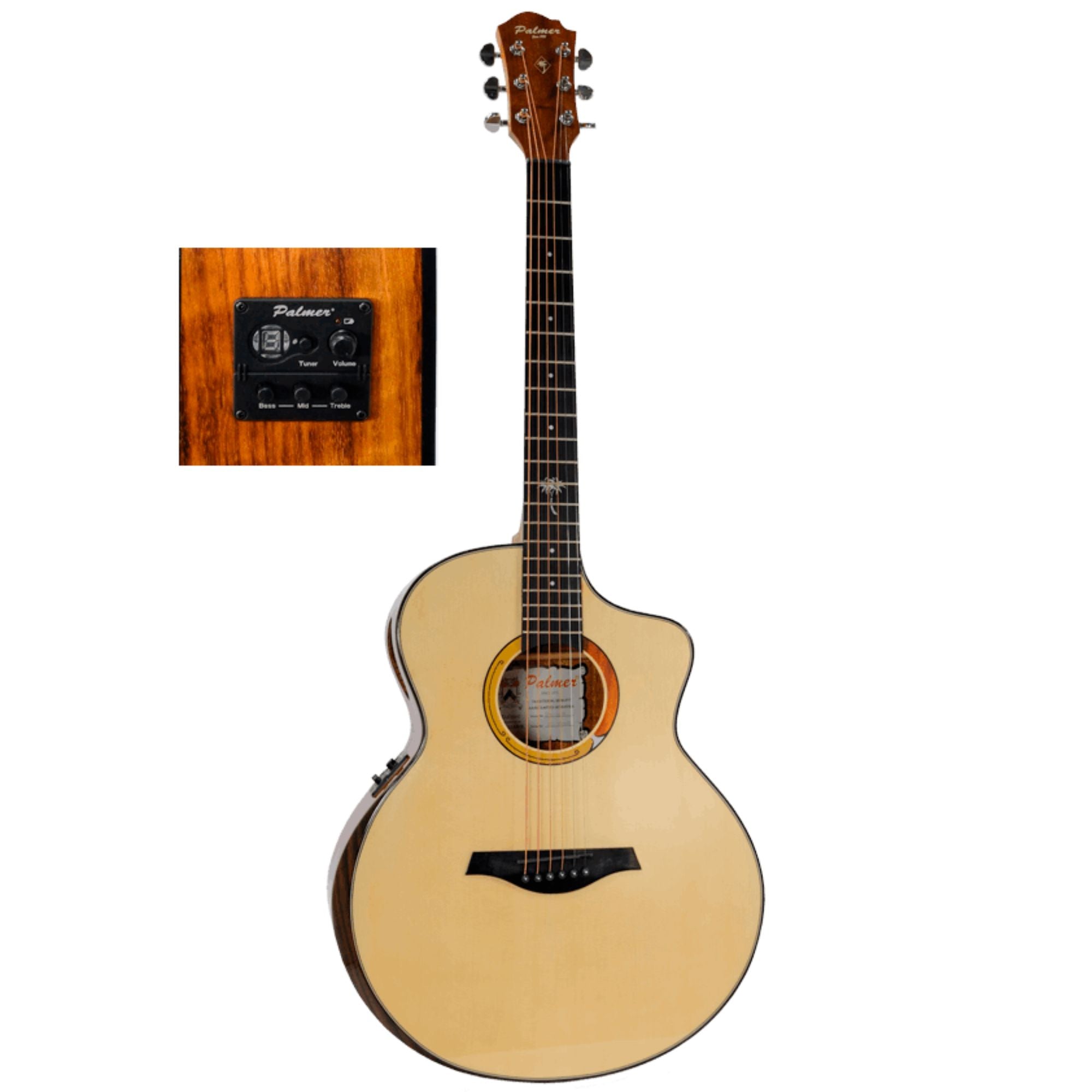 Guitarra E/A Metal Palmer PF-31 CEQN