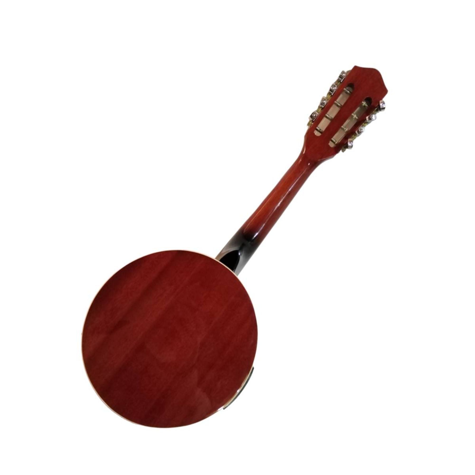 Banjo E/A 8 Cuerdas GCR YWBJ-08EL