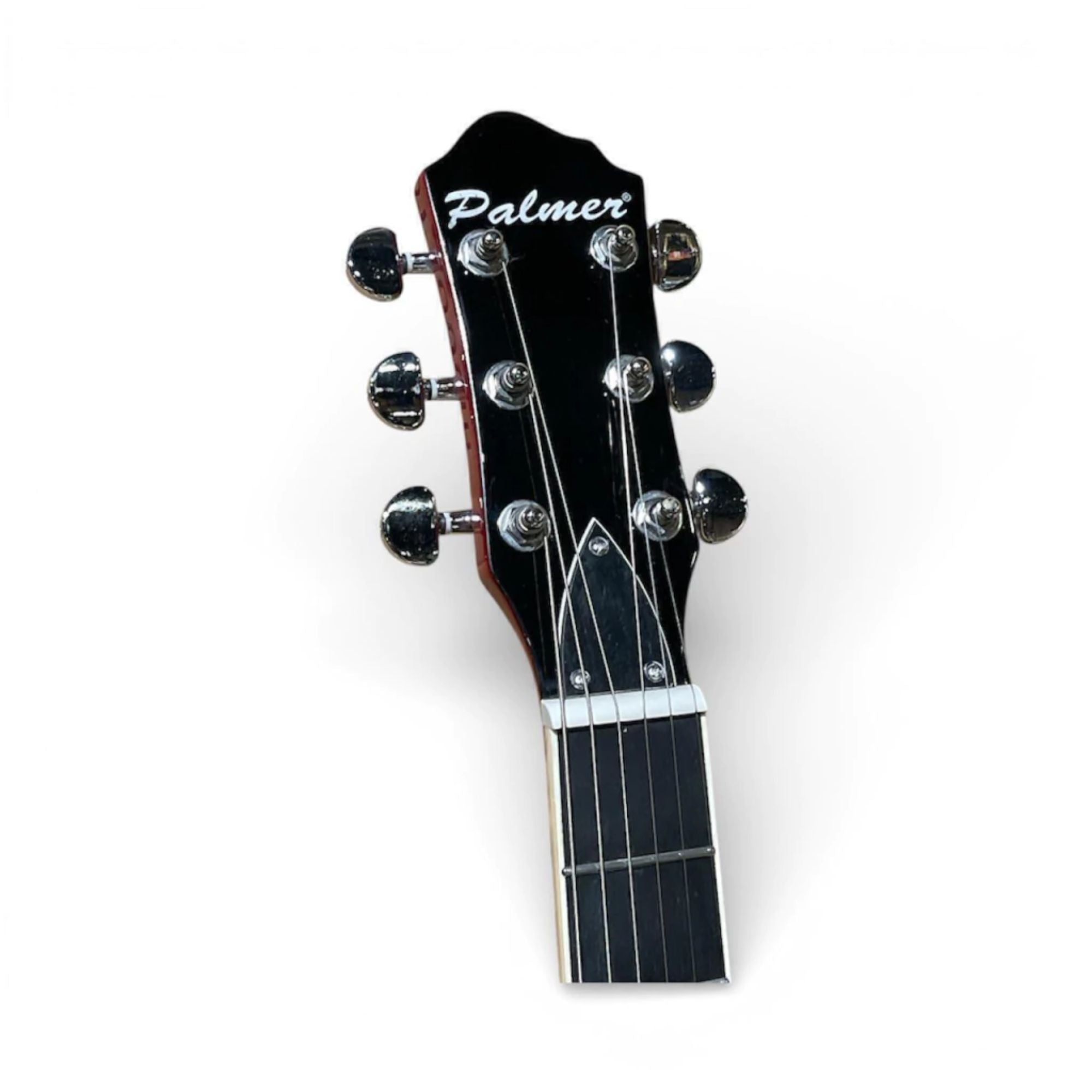 Guitarra Eléctrica Les Paul Palmer PE-LPS FBK