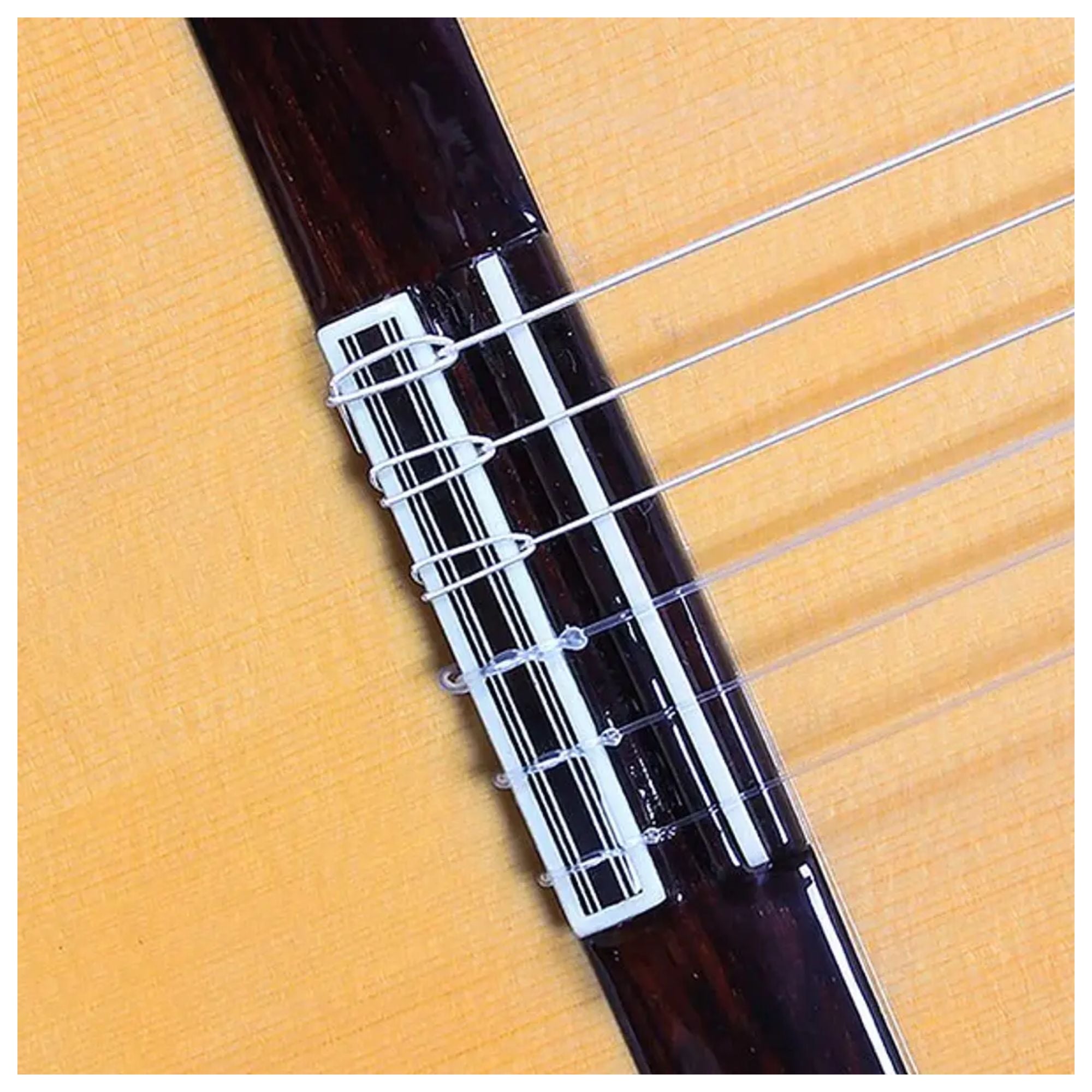 Guitarra Clásica 5F C/Golpeador+Funda 4/4 25 Mm Alhambra