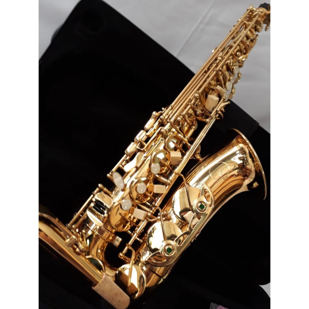 Saxo Alto c/Estuche GCR - Imagen 2