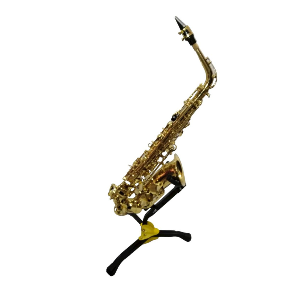 Saxo Alto c/Estuche GCR - Imagen 6